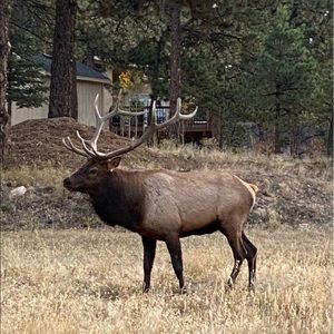 Meet your Posher, Ty